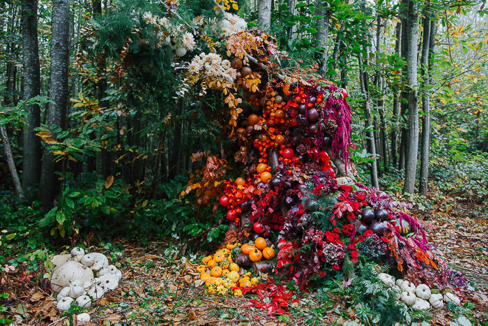 autumn blooms, autumn brides, autumn colours, autumn floral installation, autumn flowers, autumn wedding inspiration, creative london florist, Early Hours London, gourds, halloween flowers, halloween installation, harvest flowers, harvest time, london floral installation, London florist, pumpkins, woodland floral installation