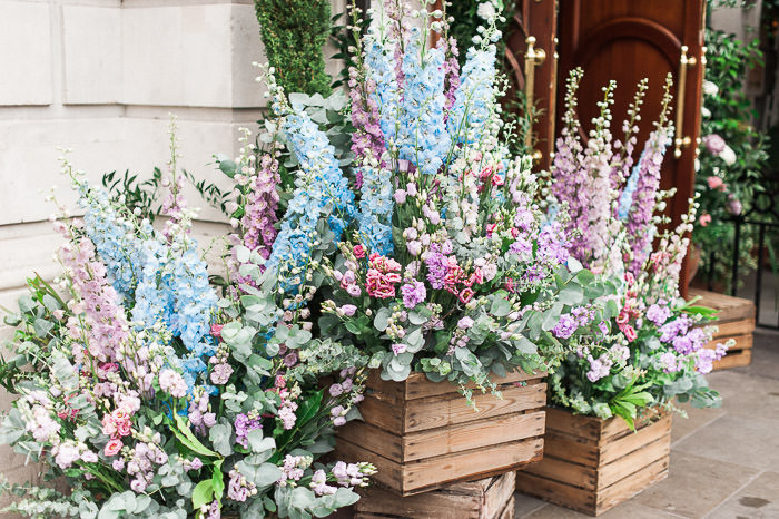 Chelsea flower show 2017, creative floral installations, Early Hours London, Early Hours LTD, Floral commissions, flower artists, flower boxes, flower week, japanese floral installation, London florist, London in bloom, London in Summer, london shop fronts, Sexy Fish London, shop fronts, spring flower displays, summer flower displays, Tropical floral installation, Uk wedding florist, wedding flowers, daphnes, Ivy market grill, floral swing, love swing, covent garden, covent garden in bloom, Halloween floral installations, easter floral installations, valentine flowers, best london florist, floral commissions, innovative floral displays, innovative floral designs, colourful floral designs, iconic london storefronts, pretty london doors, pretty little london, london facades, famous london stores, famous london restaurants, top london restaurants